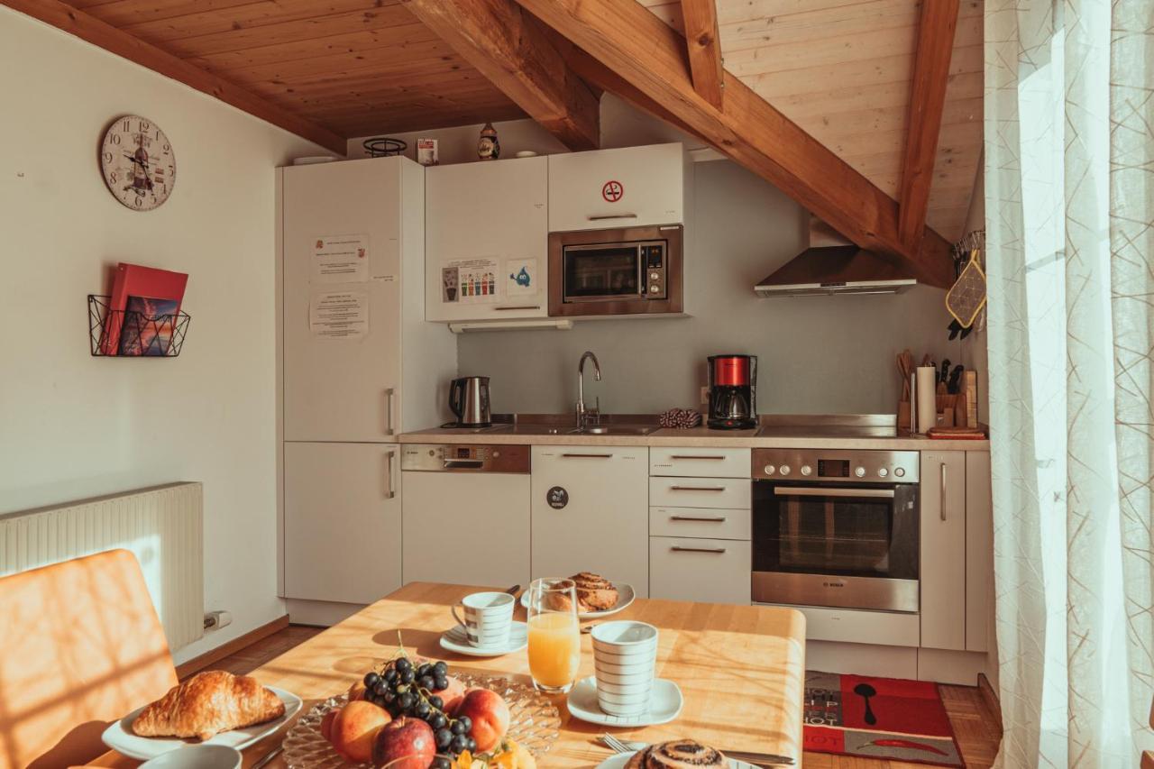 Armonia Altach, 2-6 P, 2 Schlafzimmer, Kueche, Parkplatz, Balkon, Wifi, Garten, Stellplatz Fuer Ski Luaran gambar
